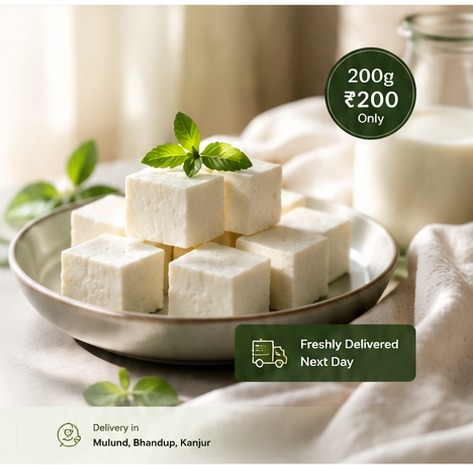Fresh milk-made paneer pieces ready for Vanvay delivery
